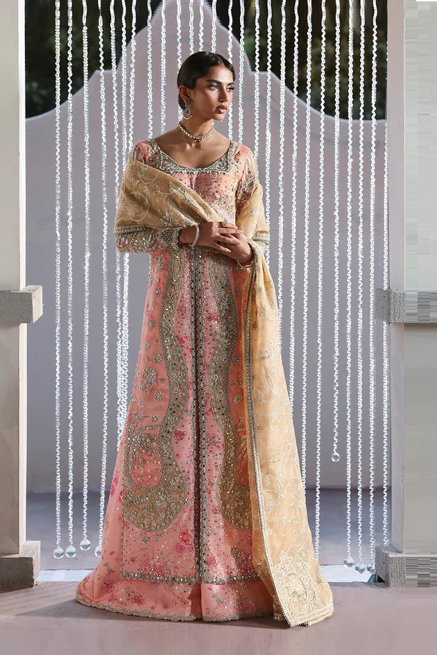 Soraya Lumene Luxury Organza Embroidered Unstitched 3PC Suit - Velora