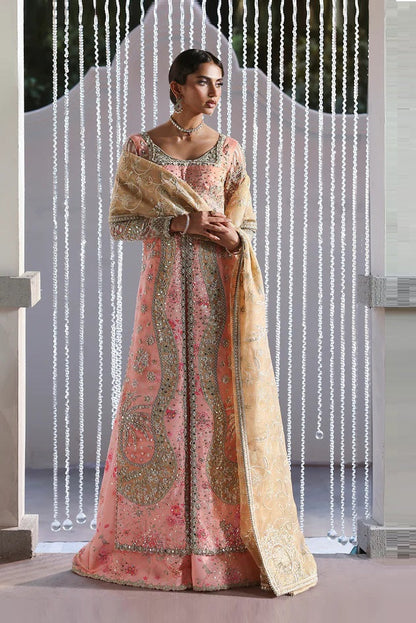 Soraya Lumene Luxury Organza Embroidered Unstitched 3PC Suit - Velora