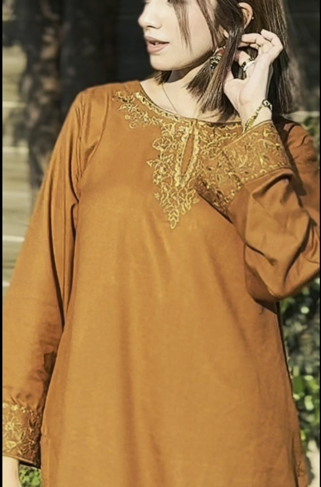 Zarqa - Stitched 2PC Dhanak Embroidered