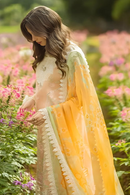 Mushq - 3PC Lawn Embroidered Shirt with Printed Silk Dupatta (Unstitched)