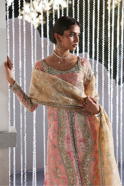 Soraya Lumene Luxury Organza Embroidered Unstitched 3PC Suit - Velora