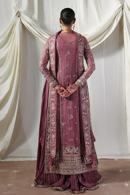 Soraya Lumene Embroidered Organza Unstitched 3Pc Suit - Isolde