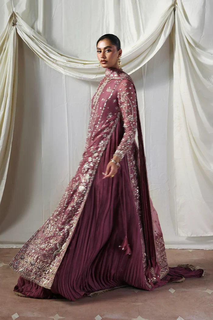 Soraya Lumene Embroidered Organza Unstitched 3Pc Suit - Isolde