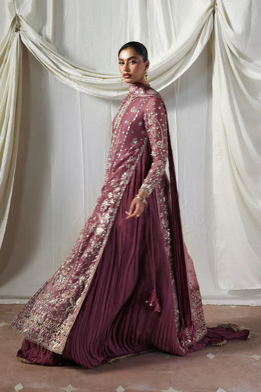 Soraya Lumene Embroidered Organza Unstitched 3Pc Suit - Isolde