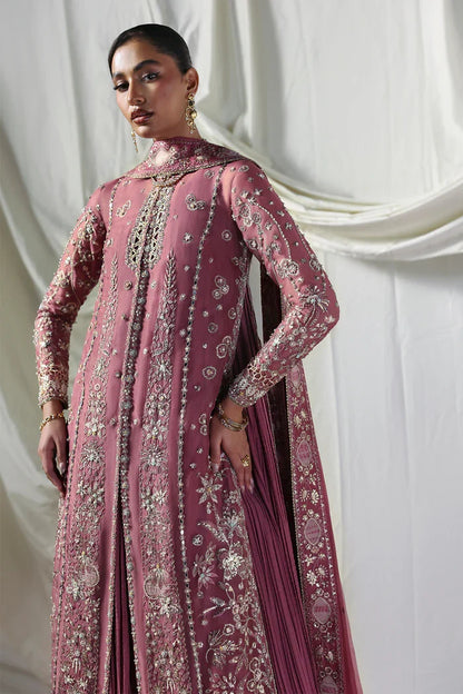 Soraya Lumene Embroidered Organza Unstitched 3Pc Suit - Isolde