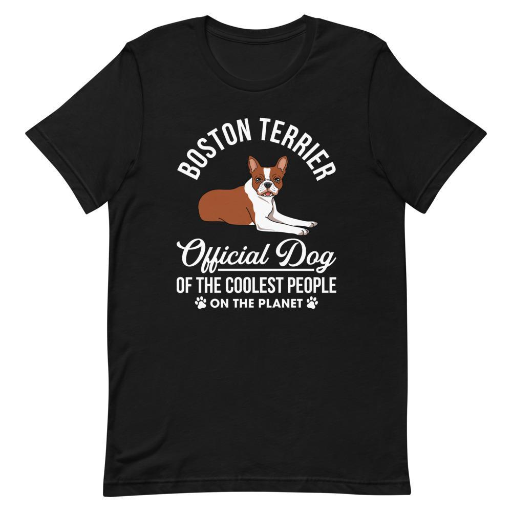 Boston Terrier