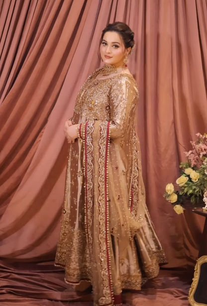 Haris Shakeel Mesuri Hand Embellished & Embroidered Maxi