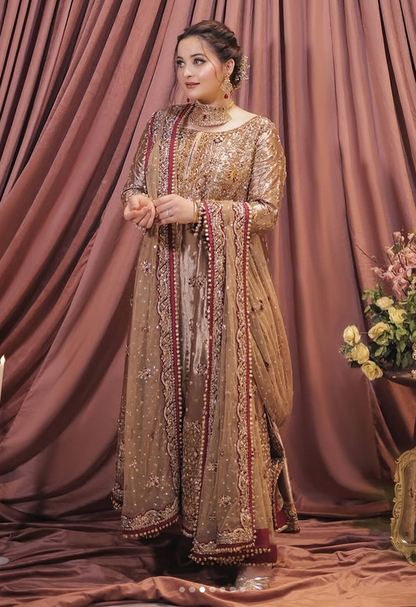 Haris Shakeel Mesuri Hand Embellished & Embroidered Maxi