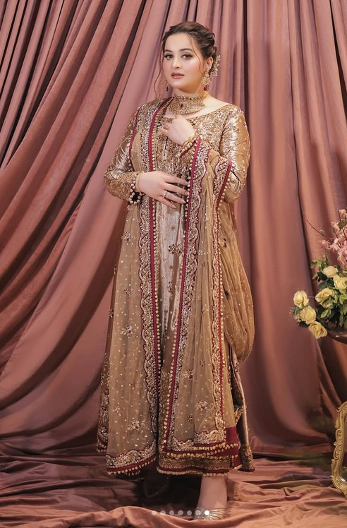 Haris Shakeel Mesuri Hand Embellished & Embroidered Maxi