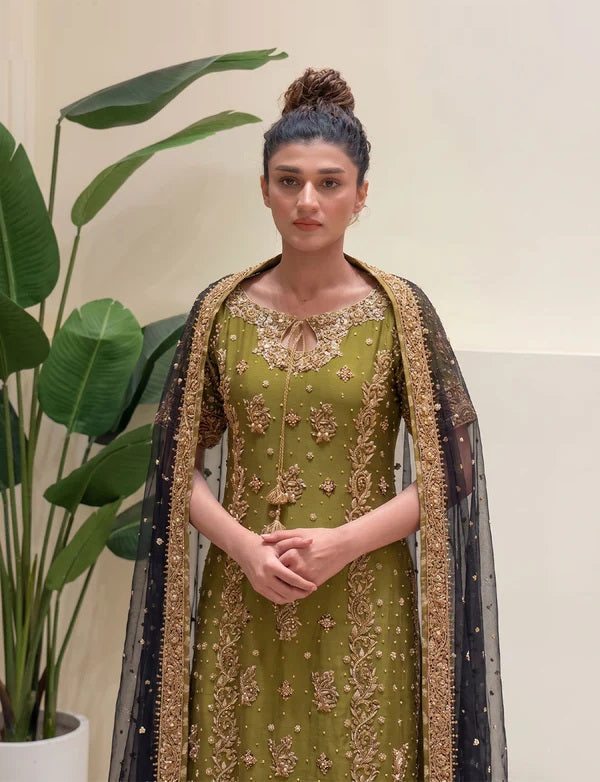 Zeeshan Danish Luxury Net Embroidered Unstitched 2PC Suit Rehma Zaman